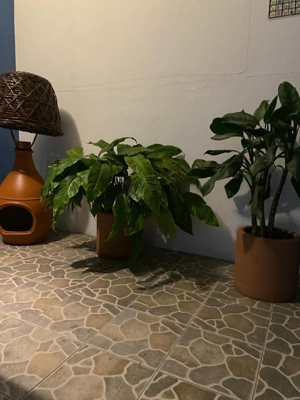 Hotel Casa Juanita Puerto Escondido  Ngoại thất bức ảnh